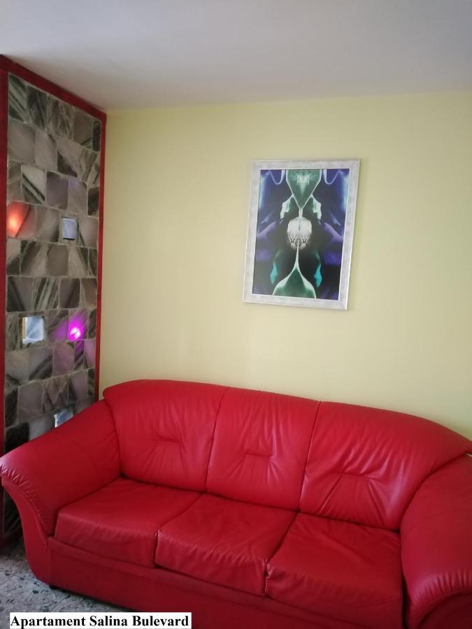 Apartament Salina Bulevard อัลบายูเลีย ภายนอก รูปภาพ