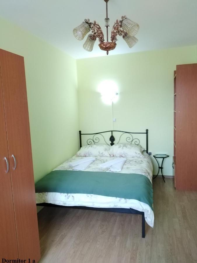 Apartament Salina Bulevard อัลบายูเลีย ภายนอก รูปภาพ