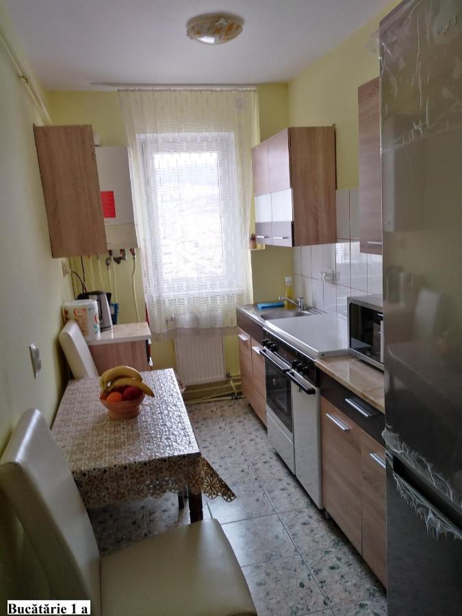 Apartament Salina Bulevard อัลบายูเลีย ภายนอก รูปภาพ