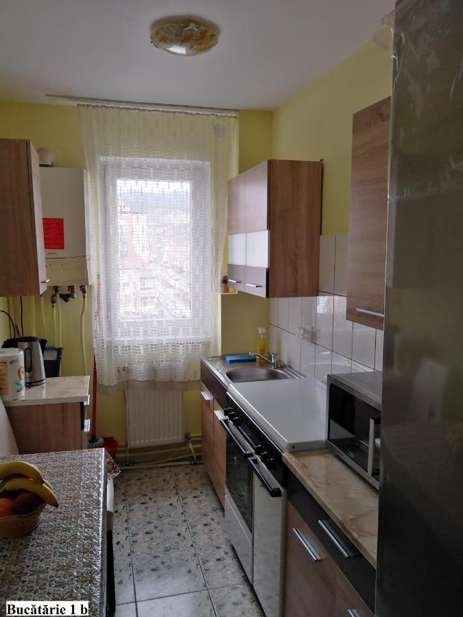 Apartament Salina Bulevard อัลบายูเลีย ภายนอก รูปภาพ