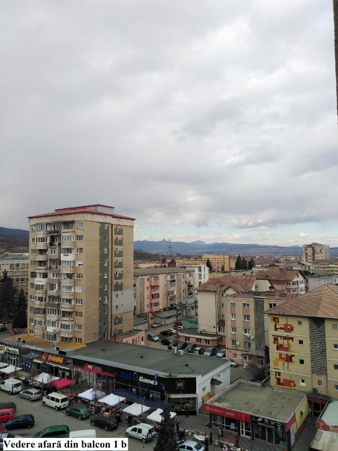 Apartament Salina Bulevard อัลบายูเลีย ภายนอก รูปภาพ